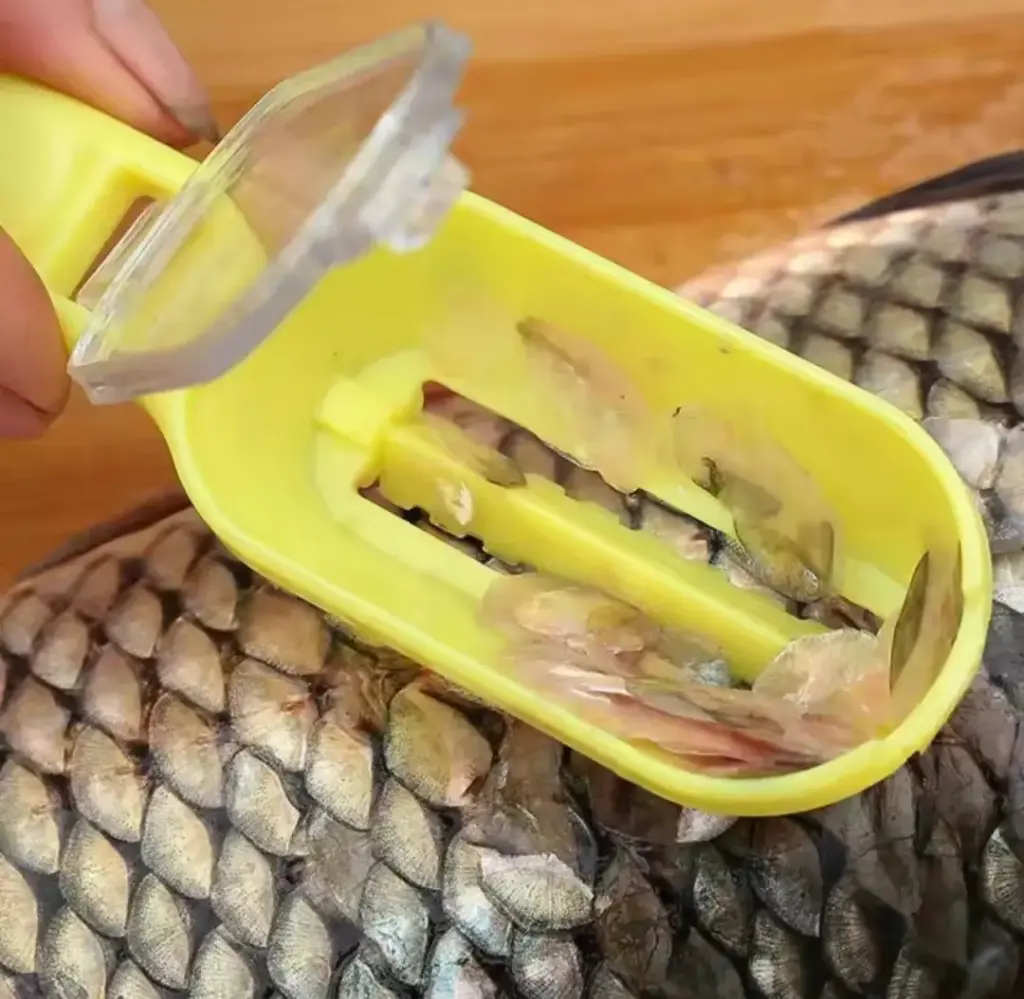 اداة تنضيف السمك